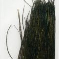 Paví paprsky Fulling Mill Premium Selected Peacock Herl purpurové