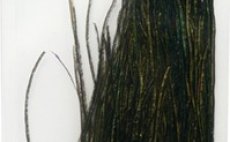 Pav� paprsky Fulling Mill Premium Selected Peacock Herl purpurov�