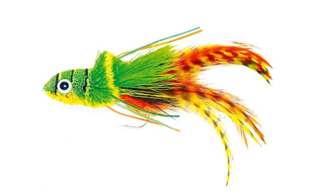 Podpovrchov tikov popper napodobujc bu zeleno-oranov Podpovrchov tikov popper napodobujc bu zeleno-oranov, vel. 2