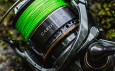 P��vla�ov� navij�k Shimano Cardiff XR - V akci