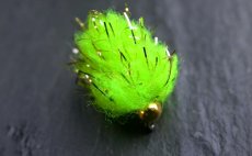 enylka FlyBox Gold Fleck Eggstasy - Fluo chartreuse