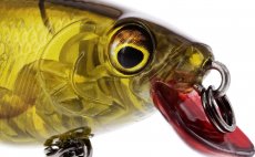 Wobler Westin BuzzBite SR Crankbait - detail