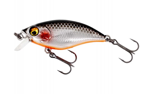Wobler Westin BuzzBite SR Crankbait Steel Sardine Wobler Westin BuzzBite SR Crankbait Steel Sardine - 4 g; 4 cm