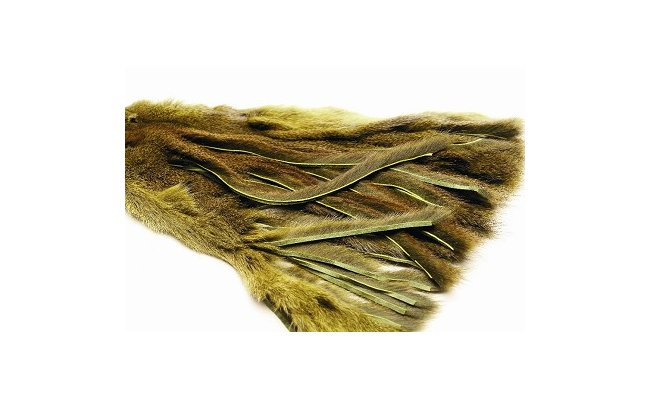 Zonkerov psky z Americk veverky Veniard Micro Zonker Pine Squirrel Zonkerov psky z Americk veverky Veniard Micro Zonker Pine Squirrel ern