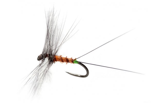 Such� jepice Spent se zelen�m tipem B/P Such� jepice Spent se zelen�m tipem B/P, vel. 16