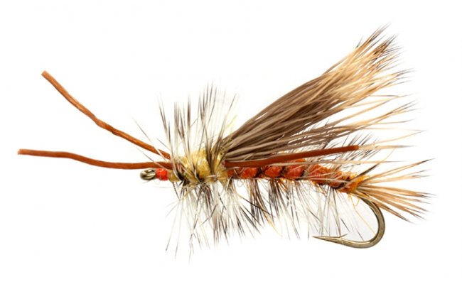 Stimulator napodobuj�c� dosp�lou po�vatku oran�ov� Stimulator napodobuj�c� dosp�lou po�vatku oran�ov�, vel. 8