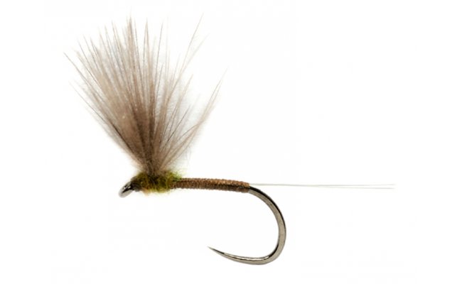 CDC Jepice s tenkm tlkem a olivovou hrud B/P CDC Jepice s tenkm tlkem a olivovou hrud B/P, vel. 16