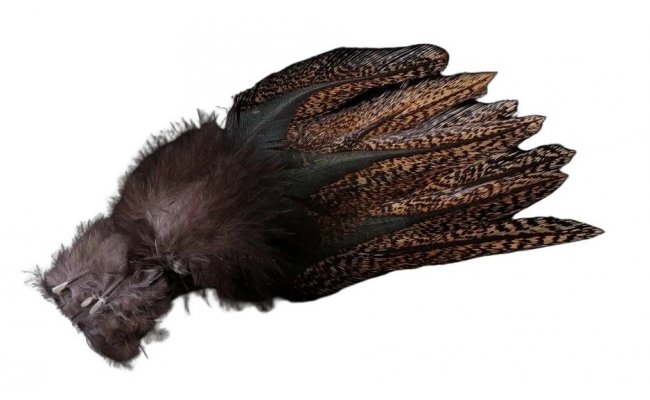 COQ DE LEON � Pardo Anchondado Medium Mottled (Limit. serie � PAMM) COQ DE LEON � Pardo Anchondado Medium Mottled (Limit. serie � PAMM)