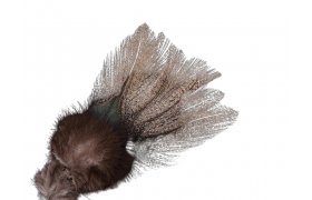 Coq de Leon Pardo Corzuno Light � limito ... Coq de Leon Pardo Corzuno Light � limitovan� s�rie (PCL)