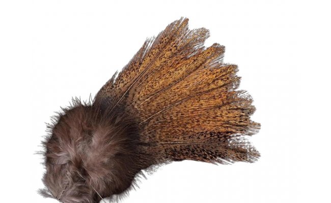 Coq de Leon Pardo Flor de Escoba Encendado � limitovan� s�rie (PFEE) Coq de Leon Pardo Flor de Escoba Encendado � limitovan� s�rie (PFEE)