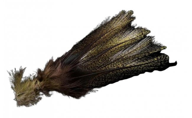 Coq de Leon Pardo Orzuno Olive � limitovan� s�rie (PCO) Coq de Leon Pardo Orzuno Olive � limitovan� s�rie (PCO)