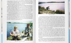 Krabice pln muek a vzpomnek - Kniha