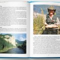 Krabice plné mušek a vzpomínek - Kniha