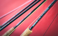 Mukask prut Guideline Elevation Brook & TLT