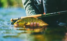 Mukask prut Guideline Elevation Nymph