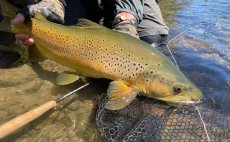 Mukask prut Guideline NT11 Trout Series - V akci
