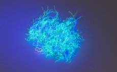 Prodn dubbing se syntetickmi vlkny Tommi-Fly Nuclear Nymph Dubbing