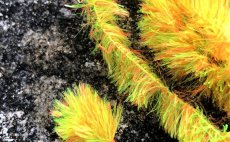 enylka FlyBox Bi-Colour Fritz - luto-oranov Blob Sunburst