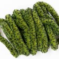 Speciální syntetická šenylka Veniard MOP Chenille