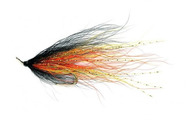 Willie Gunn Willie Gunn, vel. 8