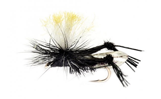 Napodobenina cvrka polnho s paraut noikami Napodobenina cvrka polnho s paraut noikami, vel. 12