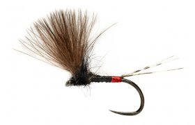 Rozova CDC jepika s vraznm ervenm ... Rozova CDC jepika s vraznm ervenm tipem B/P, vel. 16