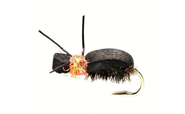 Procterv pnov brouek s oranovou hrud Procterv pnov brouek s oranovou hrud, vel. 12