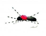 Pěnový mravenec se strakatými nožičkami