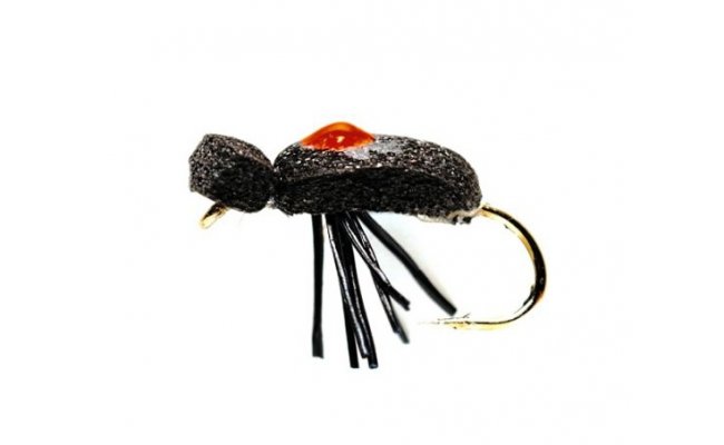 Pnov brouek s oranovm indiktorem Pnov brouek s oranovm indiktorem, vel. 14