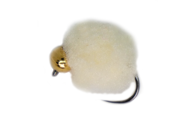 Egg se zlatou hlavikou bov Egg se zlatou hlavikou bov, vel. 12