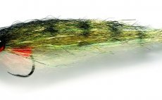 tikov rybikov streamer napodobujc okounka