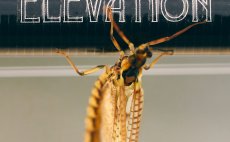 Mukask prut Guideline Elevation