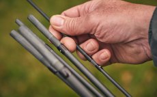 Mukask prut Guideline Elevation