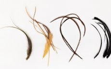 Sada vzacch materil pro zatenky Veniard Barry Ord Clarke's Flytyng Material Pack