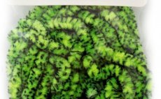 Speciln syntetick enylka Hank Competition MOP Chenille grizzly chartreuse