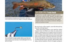 Tying Euro Nymphs and Other Competition Favorites