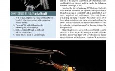 Tying Euro Nymphs and Other Competition Favorites