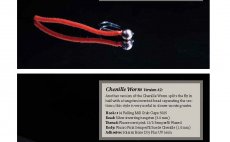 Tying Euro Nymphs and Other Competition Favorites