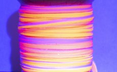 Vzac ni signln Tommi-Fly Nuclear Irritant Point Shiny