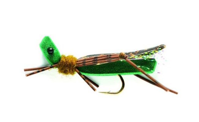 Pnov napodobenina lunho konka olivov Pnov napodobenina lunho konka olivov, vel. 10