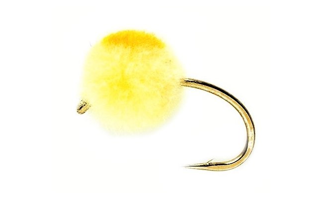 Egg s oranovou kakou krmov Egg s oranovou kakou krmov, vel. 8