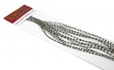 Kohout srpky Whiting 100 Pack - Velikost 6