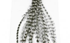 Kohout srpky Whiting 100 Pack - Velikost 6