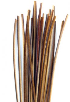 Polish Quills 