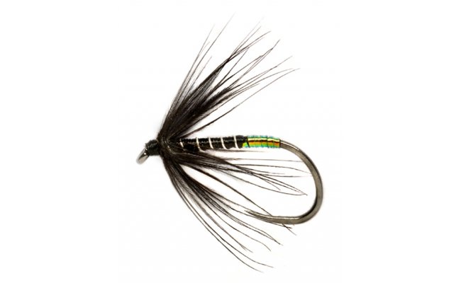 Procterv ern mokr pavouek s perleovm tipem B/P Procterv ern mokr pavouek s perleovm tipem B/P, vel. 14