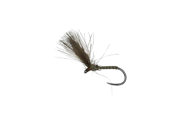 CDC Shuttlecock olivov� B/P CDC Shuttlecock olivov� B/P, vel. 12