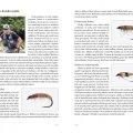 Flyfishing World - Náhled do knihy
