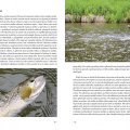 Flyfishing World - Náhled do knihy