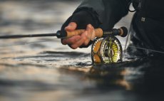 Mukask prut Guideline LPX Coastal