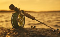 Mukask prut Guideline LPX Coastal